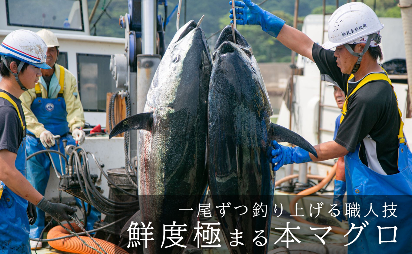 国産 養殖本マグロ 3種盛 大トロ 中トロ 赤身 600g｜刺身用 冷凍 まぐろ 鮪 柵 家庭用 夫婦 晩酌 ギフト 御歳暮 御中元 内祝い 海鮮丼 寿司 手巻き 急速冷凍 解凍簡単 贈答 お祝い 年末年始 産地直送 配達日指定可 うみのファーム