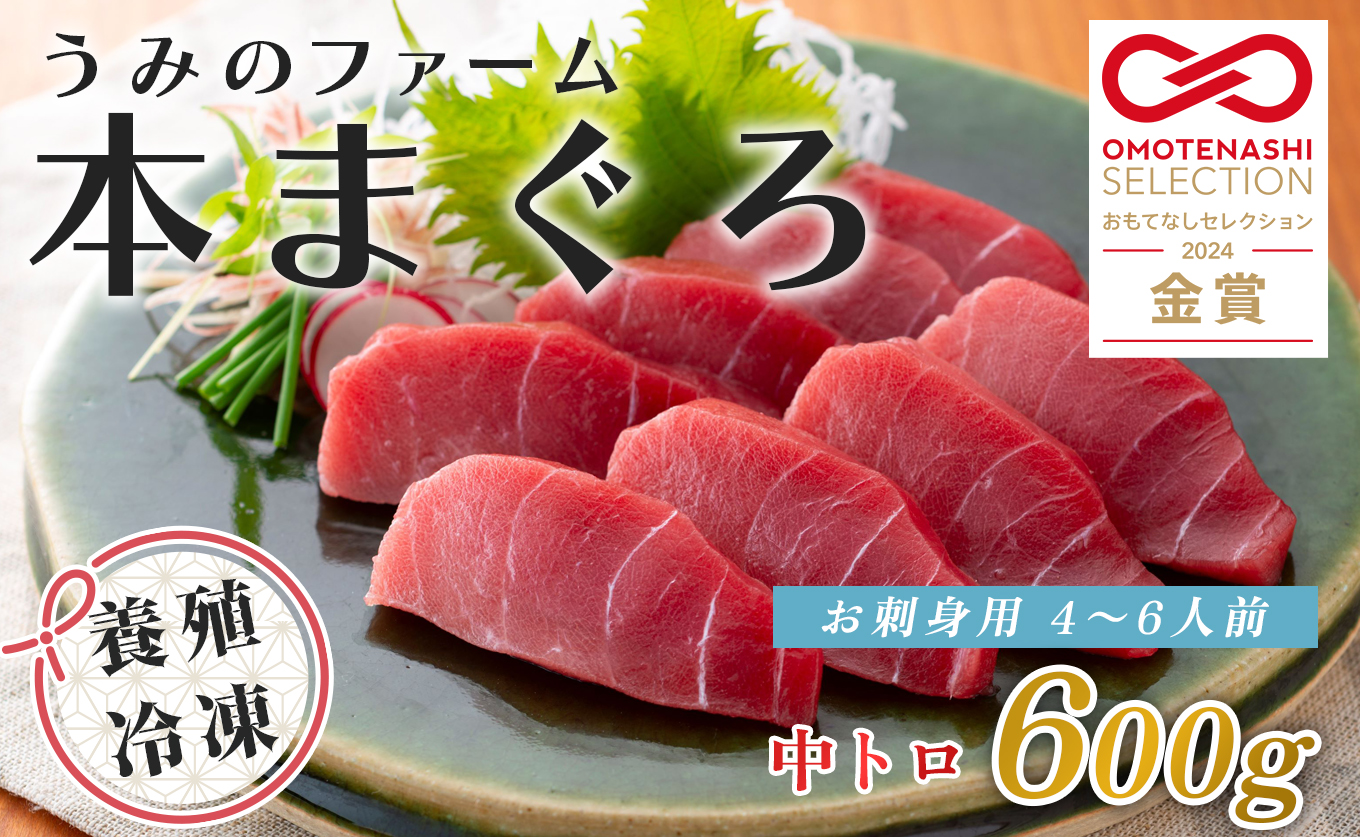 国産 養殖本マグロ 中トロ600g｜刺身用 冷凍 まぐろ 鮪 柵 家庭用 夫婦 晩酌 ギフト 御歳暮 御中元 内祝い 手土産 海鮮丼 寿司 手巻き 急速冷凍 解凍簡単 贈答 お祝い 年末年始 産地直送 配達日指定可 うみのファーム 高知県