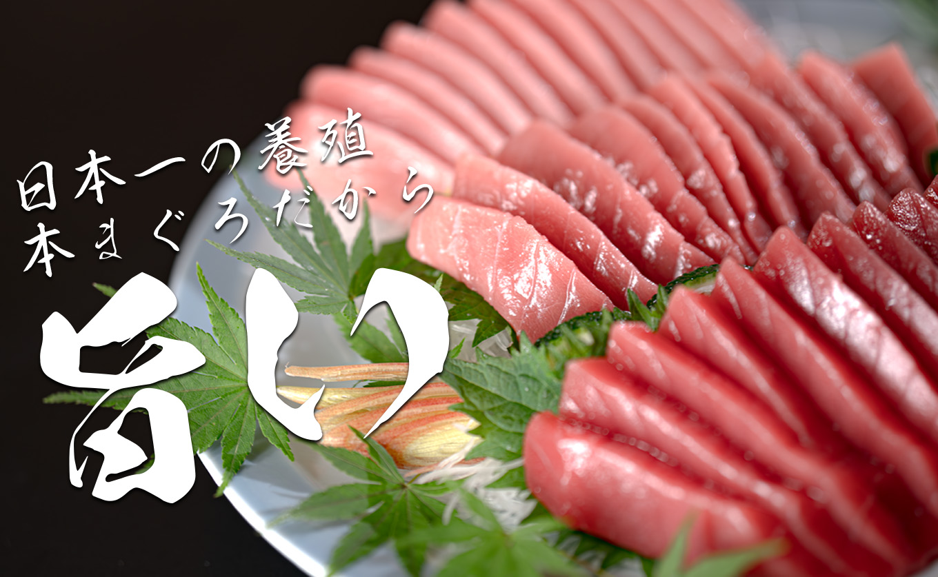 【高知県産 養殖本マグロ】大トロ・中トロ・赤身450g 3種 黒潮本まぐろ｜刺身用 最優秀賞受賞 日本一 本まぐろ まぐろ 鮪 トロ 小分け 丼 寿司 手巻き 急速冷凍 解凍簡単 贈答 ギフト お祝い 年末年始 産地直送 高知県 大月町