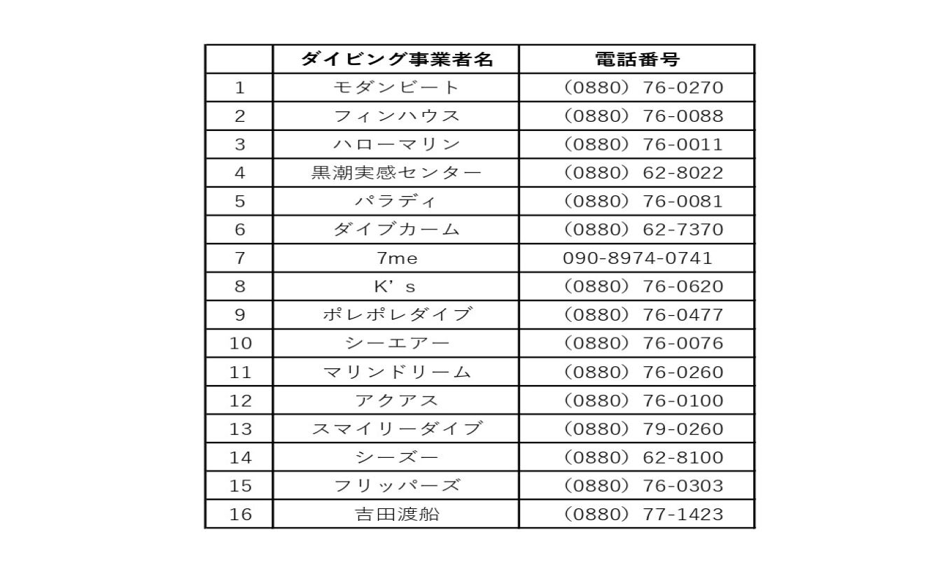 大月町共通ダイビングチケットA