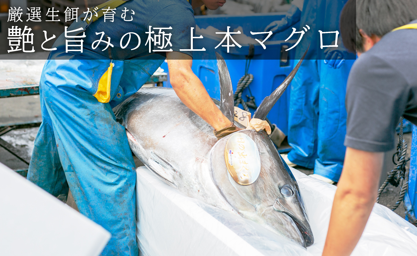 国産 養殖本マグロ 3種盛 大トロ 中トロ 赤身 600g｜刺身用 冷凍 まぐろ 鮪 柵 家庭用 夫婦 晩酌 ギフト 御歳暮 御中元 内祝い 海鮮丼 寿司 手巻き 急速冷凍 解凍簡単 贈答 お祝い 年末年始 産地直送 配達日指定可 うみのファーム