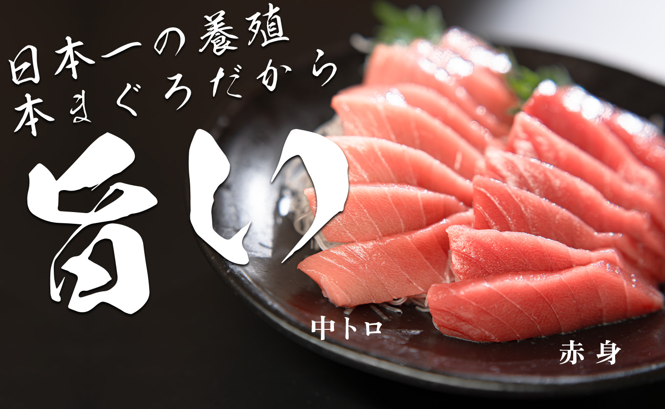 【高知県産 養殖本マグロ】中トロ・赤身900g 2種 黒潮本まぐろ｜刺身用 最優秀賞受賞 日本一 本まぐろ まぐろ 鮪 トロ 小分け 個包装 丼 寿司 手巻き 柵 急速冷凍 解凍簡単 贈答 ギフト お祝い 年末年始 産地直送 高知県 大月町