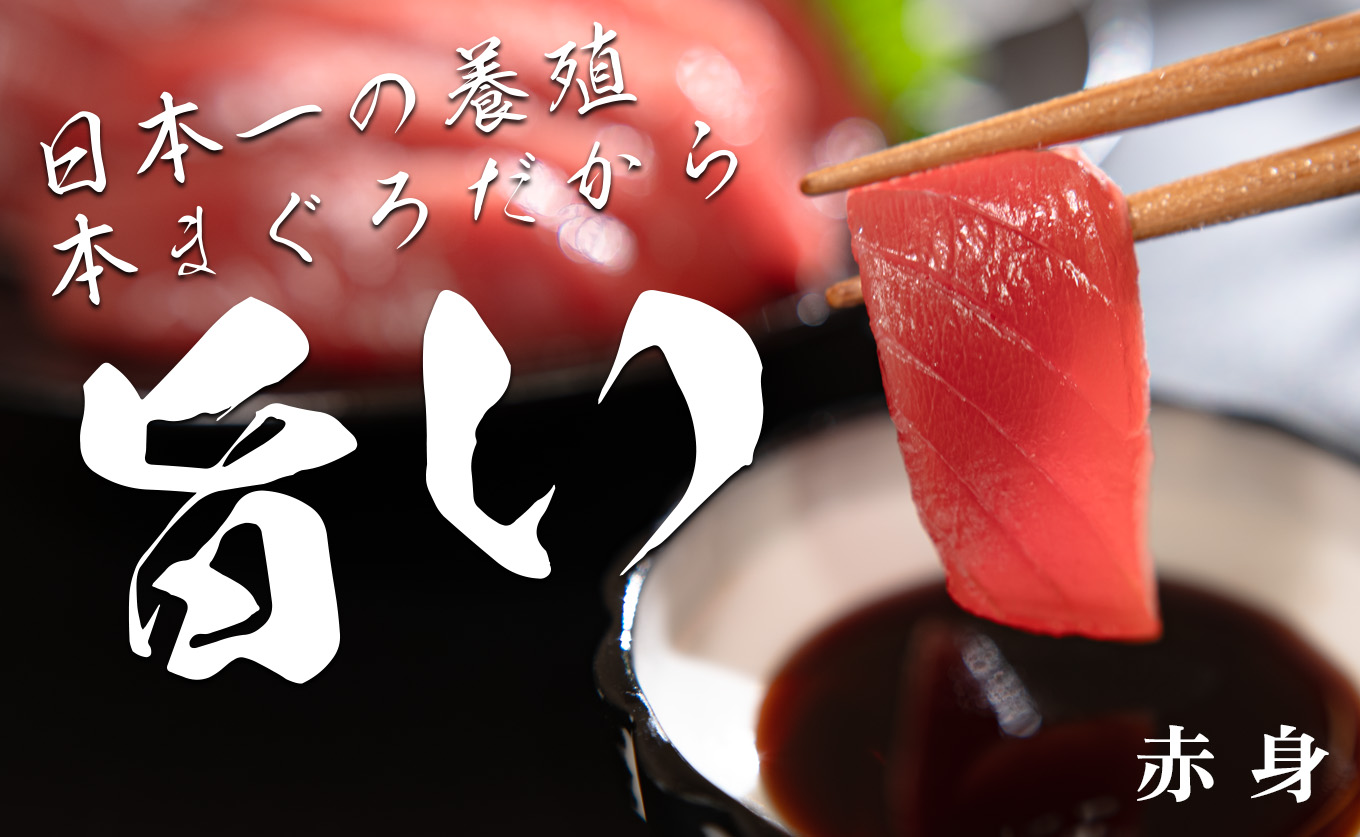 【訳アリ】養殖本マグロ 赤身 300g 黒潮本まぐろ｜不定貫 不揃い 刺身用 家庭用 最優秀賞受賞 日本一 配達日指定可 指定日配送可 本まぐろ まぐろ 鮪 小分け 個包装 丼 寿司 柵 急速冷凍 解凍簡単 産地直送 高知県 大月町
