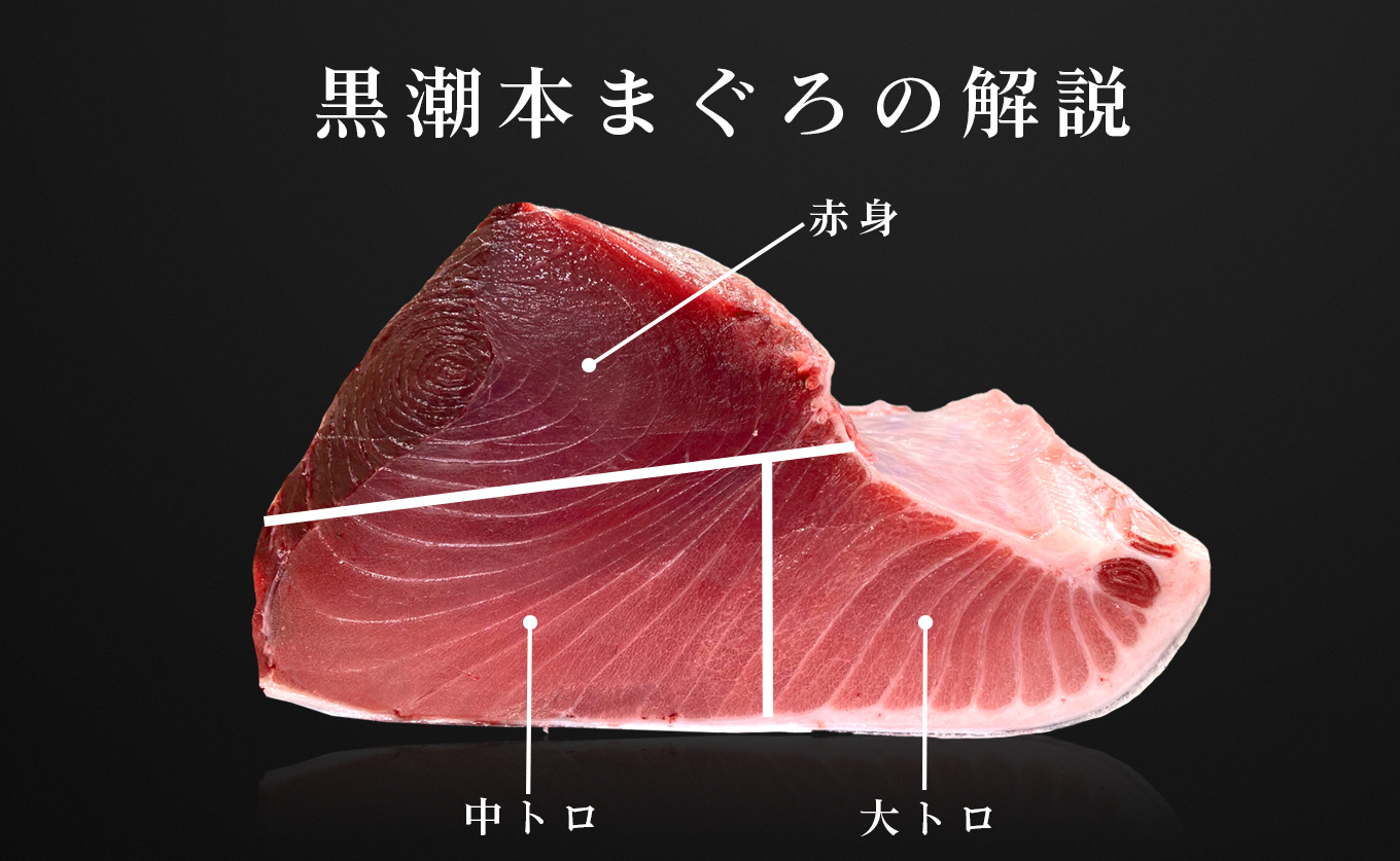【高知県産 養殖本マグロ】大トロ300g 黒潮本まぐろ｜刺身用 最優秀賞受賞 日本一 本まぐろ クロマグロ まぐろ 鮪 トロ 小分け 個包装 丼 寿司 手巻き 柵 急速冷凍 解凍簡単 贈答 ギフト お祝い 年末年始 産地直送 高知県 大月町