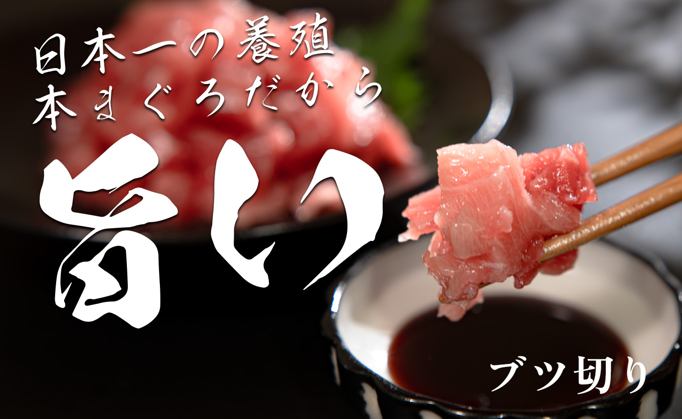 【高知県産 養殖本マグロ】ブツ切り600g 黒潮本まぐろ｜マグロ丼 最優秀賞受賞 日本一 本まぐろ クロマグロ 赤身 大トロ 中トロ トロ ミックス ぶつ切り まぐろ 鮪 小分け 個包装 ３種 丼 寿司 年末年始 産地直送 高知県 大月町