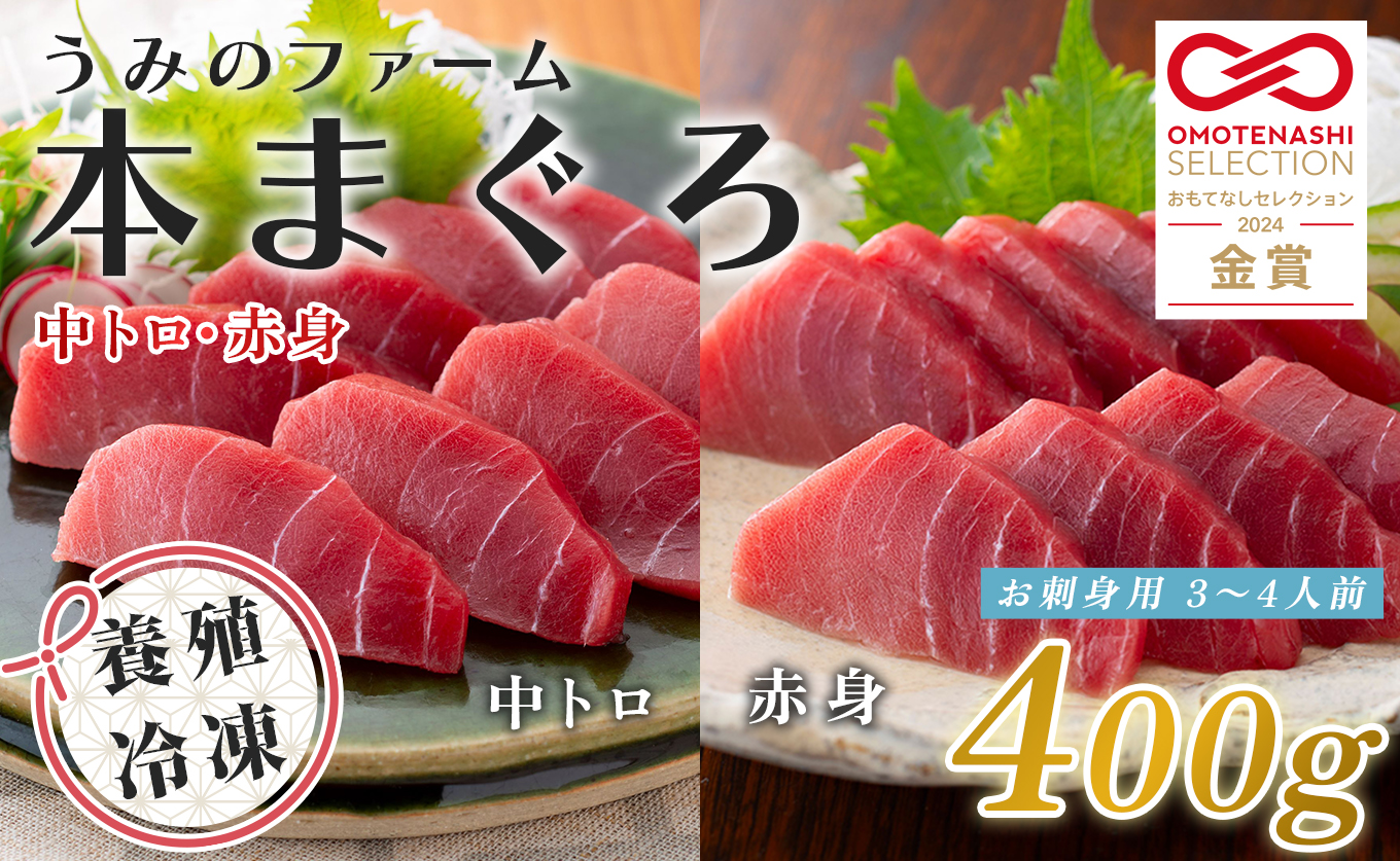 国産 養殖本マグロ 2種盛 中トロ 赤身 400g｜刺身用 冷凍 まぐろ 鮪 柵 家庭用 夫婦 晩酌 ギフト 御歳暮 御中元 内祝い 海鮮丼 寿司 手巻き 急速冷凍 解凍簡単 贈答 お祝い 年末年始 産地直送 配達日指定可 うみのファーム 高知県