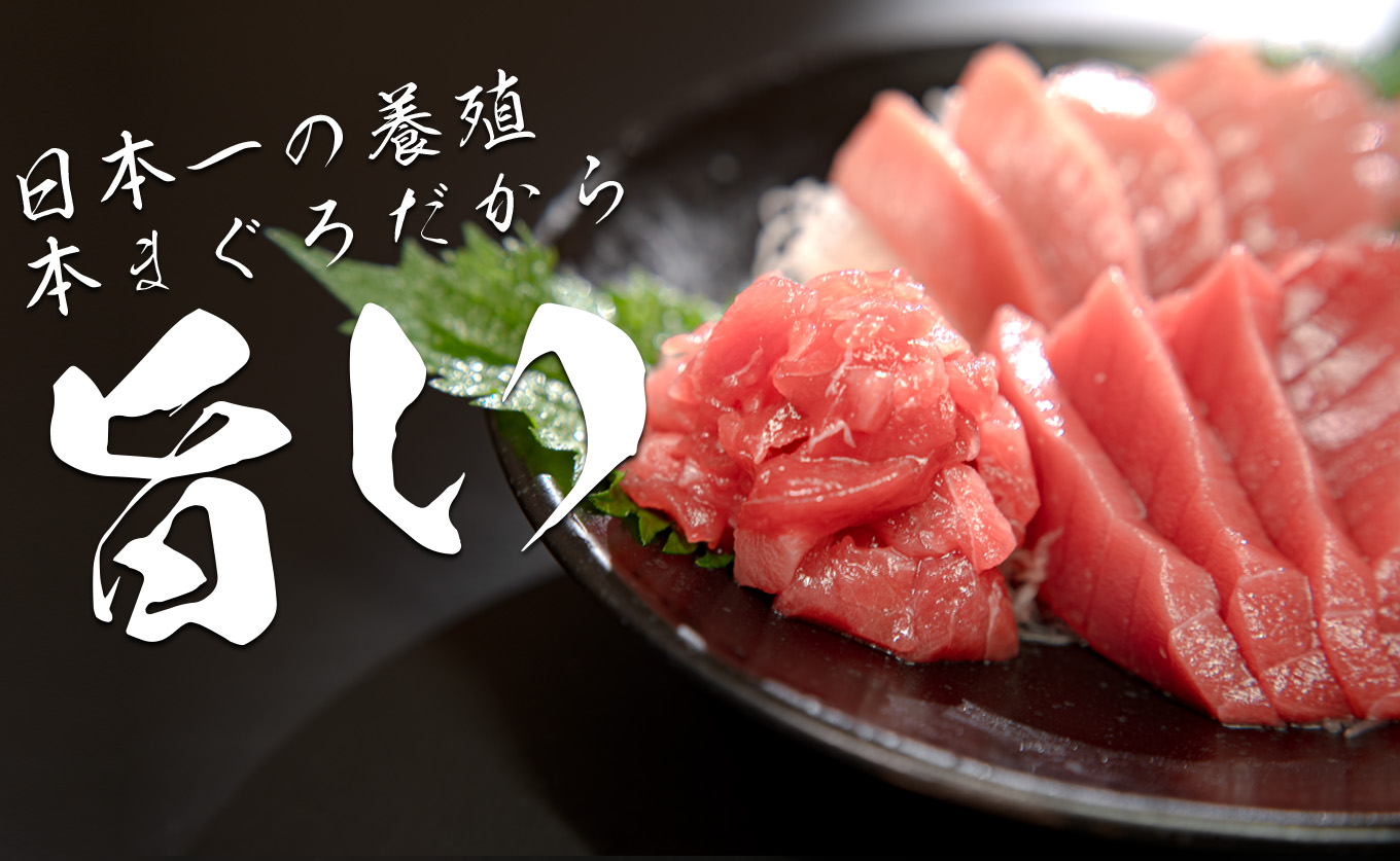 【高知県産 養殖本マグロ】中トロ・赤身・ブツ切り1kg 3種 黒潮本まぐろ｜刺身 最優秀賞受賞 日本一 本まぐろ まぐろ 鮪 トロ 小分け 丼 寿司 急速冷凍 解凍簡単 贈答 ギフト お祝い 年末年始 産地直送 高知県 大月町
