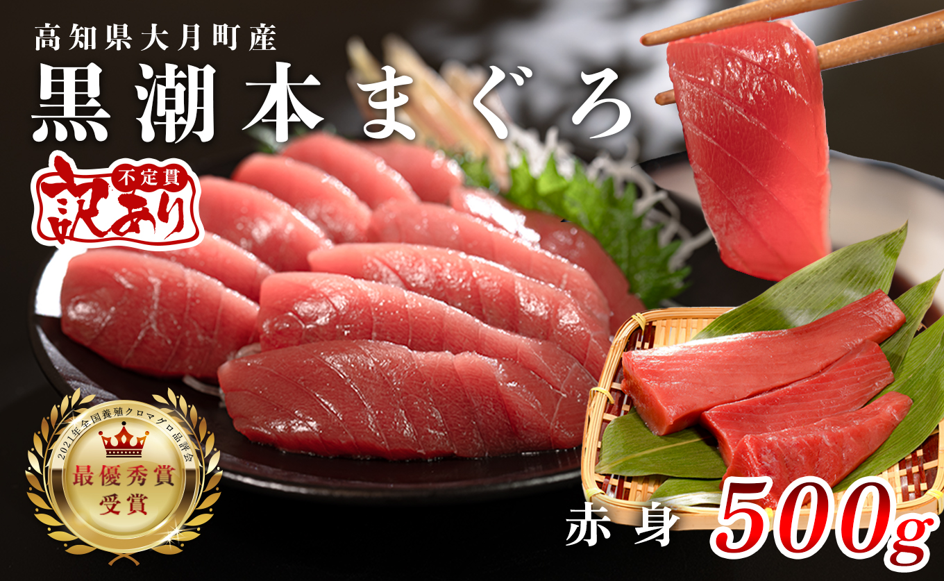 【訳アリ】養殖本マグロ 赤身 500g 黒潮本まぐろ｜不定貫 不揃い 刺身用 家庭用 最優秀賞受賞 日本一 配達日指定可 指定日配送可 本まぐろ まぐろ 鮪 小分け 個包装 丼 寿司 柵 急速冷凍 解凍簡単 産地直送 高知県 大月町