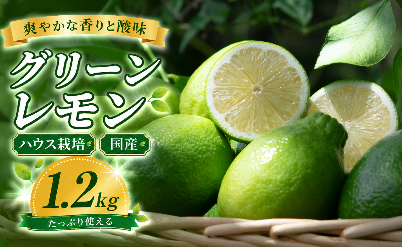 グリーンレモン 1.2kg ハウス栽培 国産 レモン 檸檬 れもん 柑橘 フルーツ 果物 香り 爽やか 果汁 レモンサワー レモネード レモン水 料理 ドリンク お菓子作り アレンユーレカ 高知県大月町