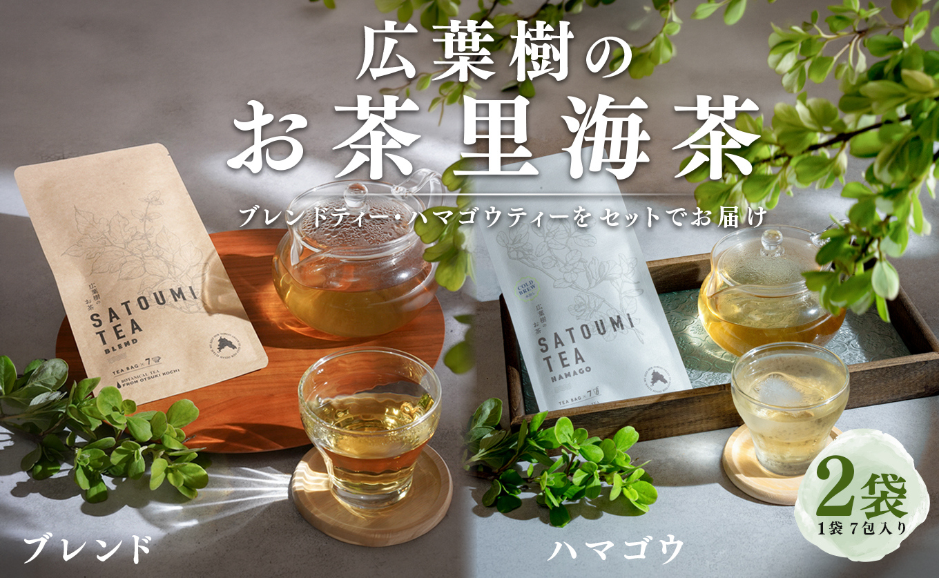 広葉樹のお茶 里海茶 飲み比べ 2袋 14パック入り ハマゴウ ブレンド カフェインフリー ハマゴウティー お茶 ティー ティーパック 自然栽培 野草茶 ボタニカルティー 飲料 高知県 大月町