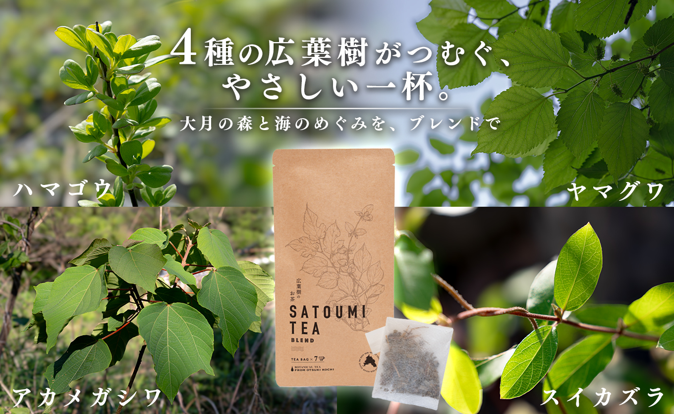 広葉樹のお茶 里海茶 飲み比べ 2袋 14パック入り ハマゴウ ブレンド カフェインフリー ハマゴウティー お茶 ティー ティーパック 自然栽培 野草茶 ボタニカルティー 飲料 高知県 大月町