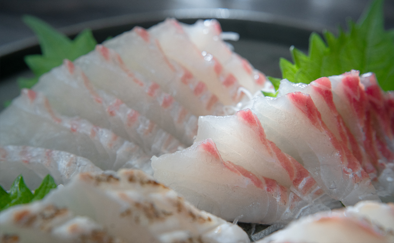 【先行受付】 朝獲れ 真鯛 フィーレ 皮付き 皮なし 500g以上 刺身 冷蔵 養殖 たい タイ マダイ セット 真空パック 産地直送 当日発送 鮮度抜群 鯛めし 鯛丼 カルパッチョ お取り寄せ ギフト 贈答 はやぶさ水産 四国 高知県 大月町 柏島産