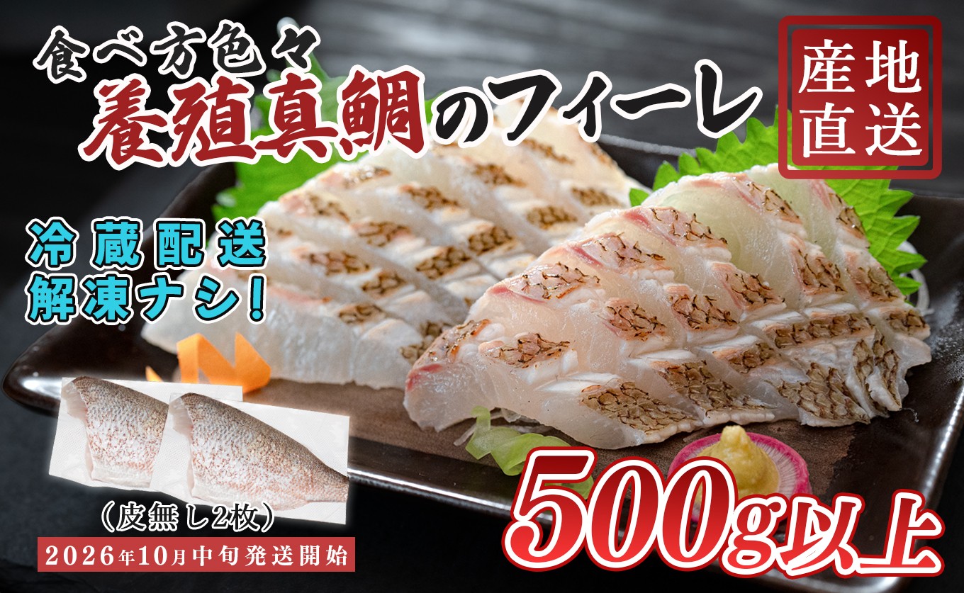 【先行受付】 朝獲れ 真鯛 フィーレ 皮付き 500g以上 刺身 冷蔵 養殖 たい タイ マダイ セット 真空パック 産地直送 当日発送 鮮度抜群 鯛めし 鯛丼 カルパッチョ 塩焼き お取り寄せ ギフト 贈答 はやぶさ水産 高知県 大月町 柏島産