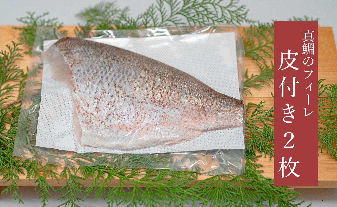 【先行受付】 朝獲れ 真鯛 フィーレ 皮付き 500g以上 刺身 冷蔵 養殖 たい タイ マダイ セット 真空パック 産地直送 当日発送 鮮度抜群 鯛めし 鯛丼 カルパッチョ 塩焼き お取り寄せ ギフト 贈答 はやぶさ水産 高知県 大月町 柏島産