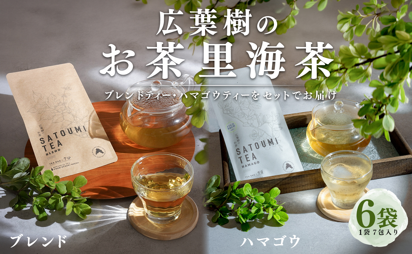 広葉樹のお茶 里海茶 飲み比べ 6袋 42パック入り ハマゴウ ブレンド カフェインフリー ハマゴウティー お茶 ティー ティーパック 自然栽培 野草茶 ボタニカルティー 飲料 高知県 大月町