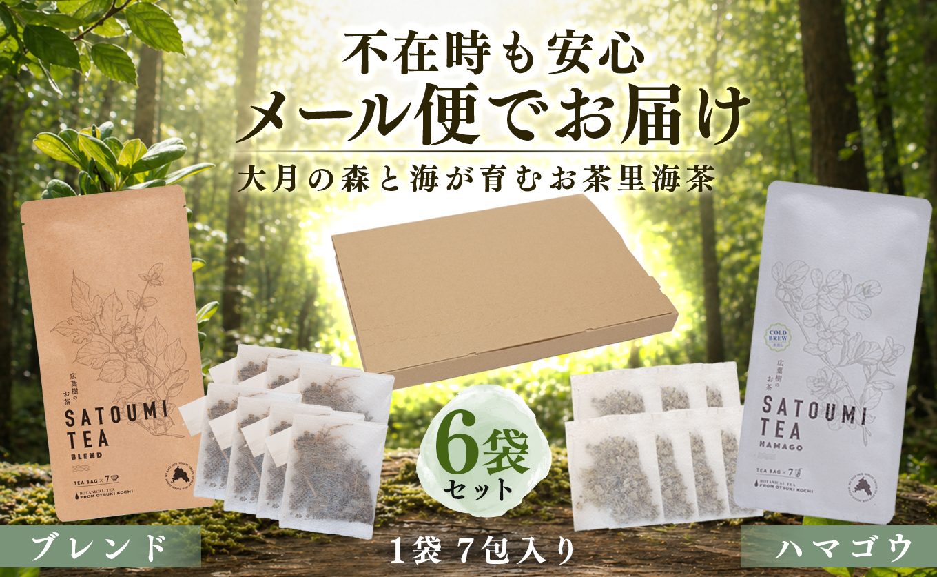 広葉樹のお茶 里海茶 飲み比べ 6袋 42パック入り ハマゴウ ブレンド カフェインフリー ハマゴウティー お茶 ティー ティーパック 自然栽培 野草茶 ボタニカルティー 飲料 高知県 大月町