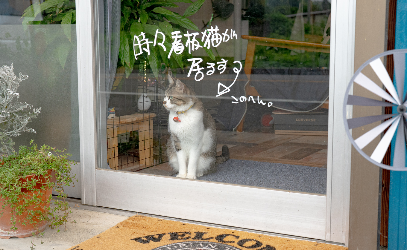 ã¹ãã³ãã°ã©ã¹ èã®å·£ ã¢ããŒã (ã¯ãªã¢) ãµã³ãã£ããã£ãŒ æäœã ã€ã³ããªã¢é貚 ãã³ãã¡ã€ã é貚 ã¯ãªã¹ã¿ã«ã¬ã©ã¹ çã ã°ã㺠宀å
食ã ãªã©ãã¯ã¹ ã®ãã ãã¬ãŒã³ã æ°ç掻 èŽãç© ãç¥ã ãªãã£ã¹é£Ÿã ãããã ã€ã³ããªã¢å°ç©