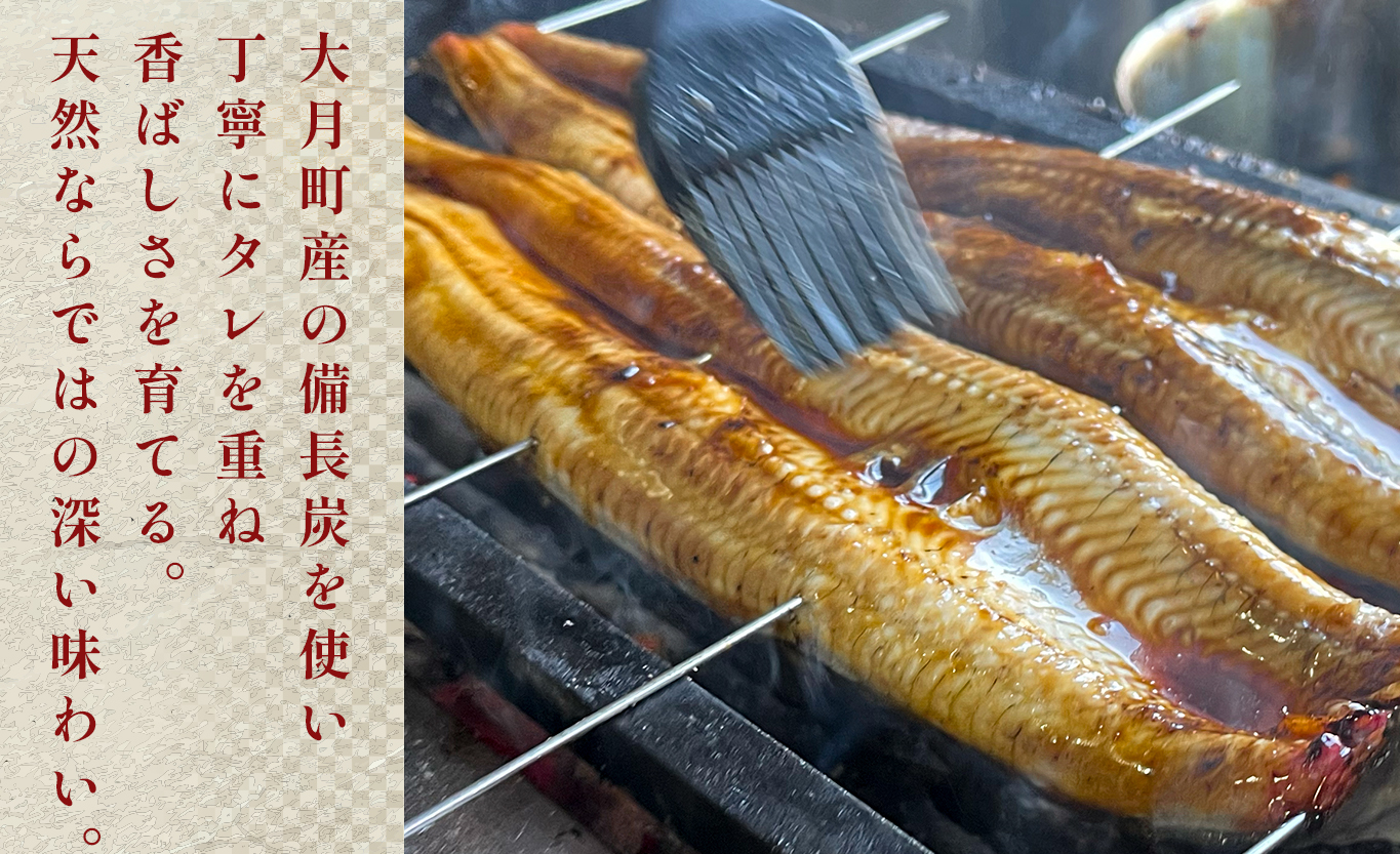 希少 天然 鰻 蒲焼 約1～2人前 200g 国産 四万十川 うなぎ ウナギ  蒲焼き ウナギ蒲焼 鰻蒲焼 うな重 備長炭 炭火 炭火焼き 冷凍 湯せん 小分け 贈答 お取り寄せ ギフトご褒美 簡単 土用の丑の日 高知県 大月町
