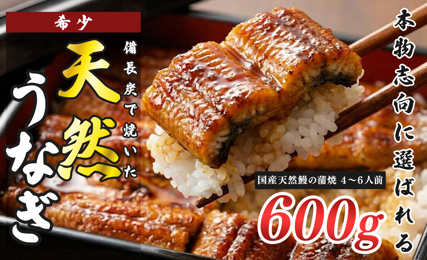 希少 天然 鰻 蒲焼  約4～6人前 600g 国産 四万十川 うなぎ ウナギ  蒲焼き ウナギ蒲焼 鰻蒲焼 うな重 備長炭 炭火 炭火焼き 冷凍 湯せん 小分け 贈答 お取り寄せ ギフトご褒美 簡単 土用の丑の日 高知県 大月町