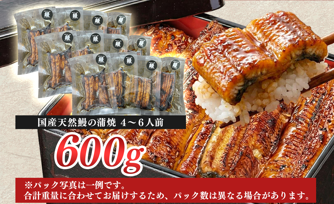 希少 天然 鰻 蒲焼  約4～6人前 600g 国産 四万十川 うなぎ ウナギ  蒲焼き ウナギ蒲焼 鰻蒲焼 うな重 備長炭 炭火 炭火焼き 冷凍 湯せん 小分け 贈答 お取り寄せ ギフトご褒美 簡単 土用の丑の日 高知県 大月町