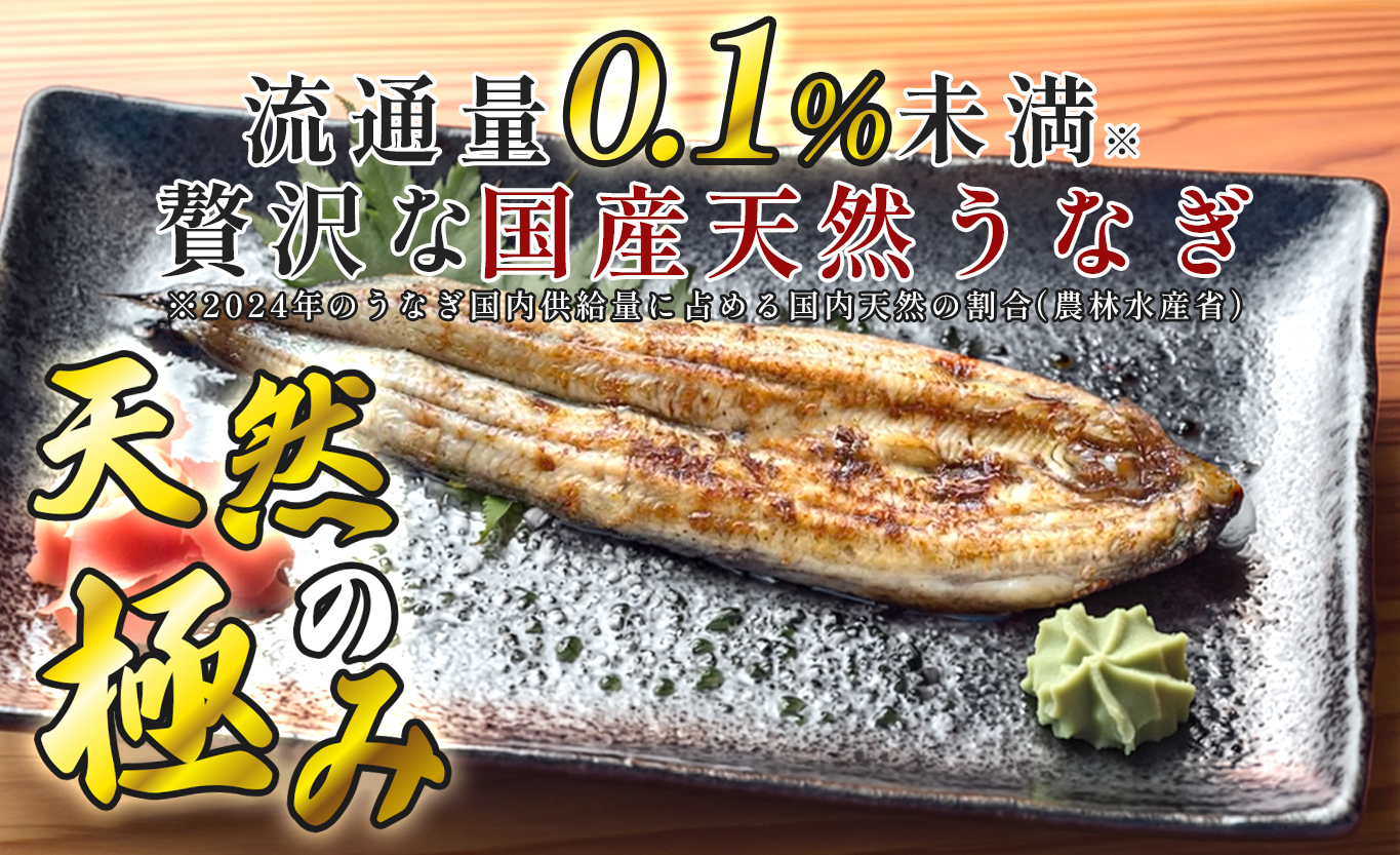 希少 天然 鰻 白焼き 約4～6人前 600g 国産 四万十川 うなぎ ウナギ  白焼 ウナギ白焼 鰻白焼き うな重 備長炭 炭火 炭火焼き 冷凍 湯せん 小分け 贈答 お取り寄せ ギフトご褒美 簡単 土用の丑の日 高知県 大月町
