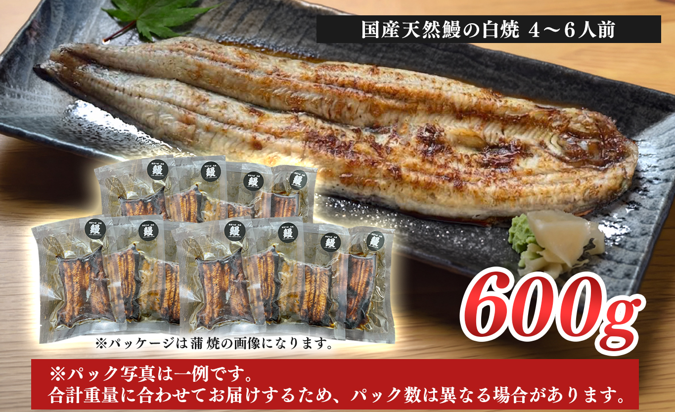 希少 天然 鰻 白焼き 約4～6人前 600g 国産 四万十川 うなぎ ウナギ  白焼 ウナギ白焼 鰻白焼き うな重 備長炭 炭火 炭火焼き 冷凍 湯せん 小分け 贈答 お取り寄せ ギフトご褒美 簡単 土用の丑の日 高知県 大月町