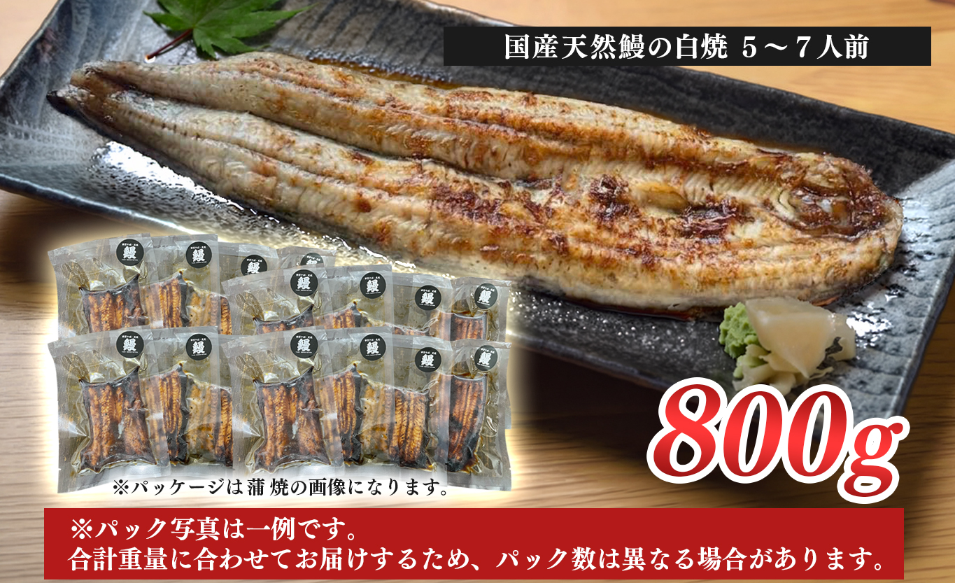 希少 天然 鰻 白焼き 約5～7人前 800g 国産 四万十川 うなぎ ウナギ  白焼 ウナギ白焼 鰻白焼き うな重 備長炭 炭火 炭火焼き 冷凍 湯せん 小分け 贈答 お取り寄せ ギフトご褒美 簡単 土用の丑の日 高知県 大月町