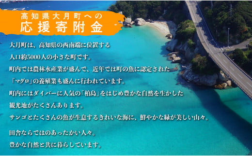 鬮倡衍逵悟、ァ譛育伴縺ク縺ョ蠢懈抄蟇髯驥代占ソ皮、シ蜩√↑縺励
