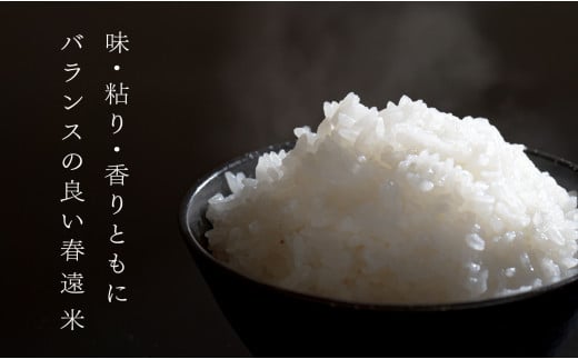 什å8幎 æ°ç±³ ãããã«ãª æ¥é ç±³ 5kg é«ç¥ç倧æçºç£ ç±³ ãç±³ 粟米 çœç±³ ãã©ã³ãç±³ ãã¯ã çœãã¯ã 10æäžæ¬ããé æ¬¡ãå±ã