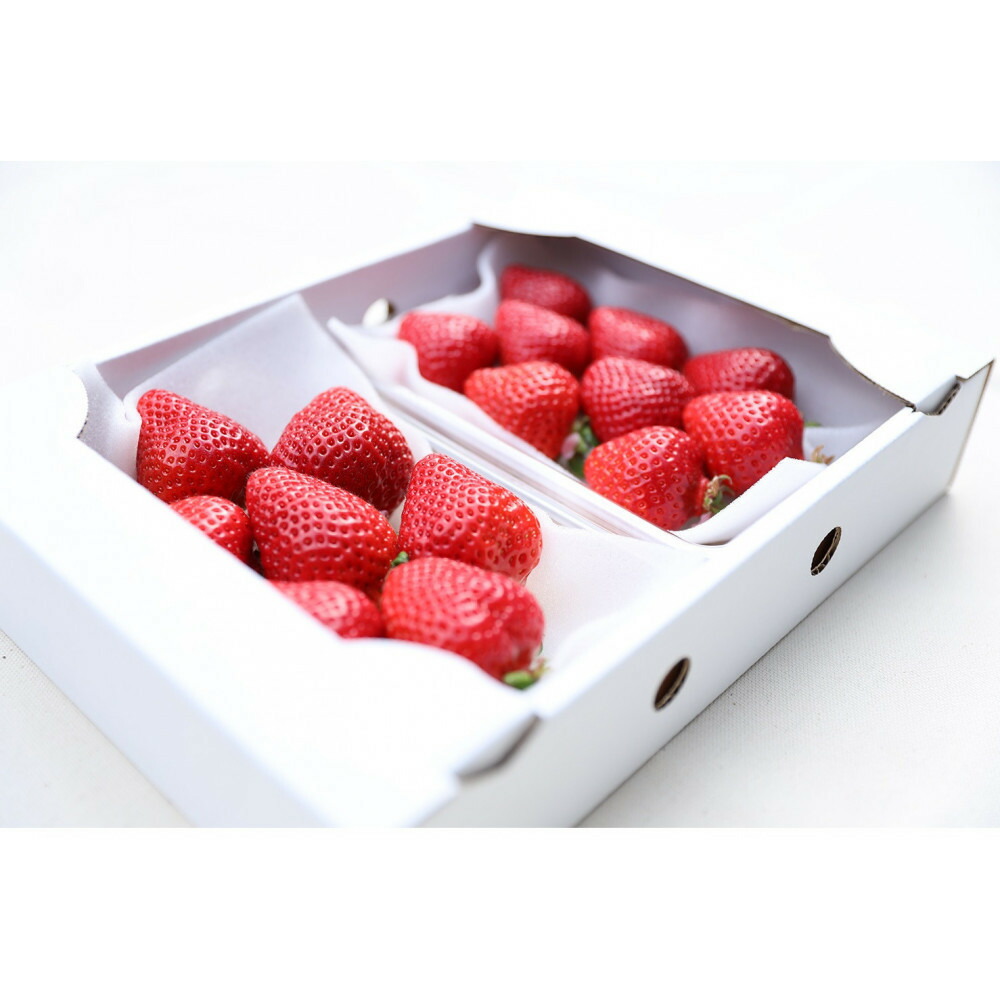 朝どり完熟あまおう2P　福岡市志賀島産