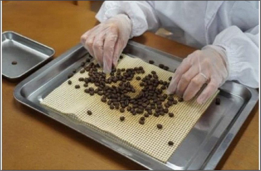 福岡市発 えがおカフェ 自家焙煎珈琲（豆タイプ） | 福岡県 福岡市 福岡 九州 返礼品 コーヒー 珈琲 焙煎 自家焙煎コーヒー コーヒー豆 珈琲豆 コーヒーセット 飲み比べ 詰め合わせ 飲み比べセット 飲み物 おうちカフェ 美味しいコーヒー おいしい