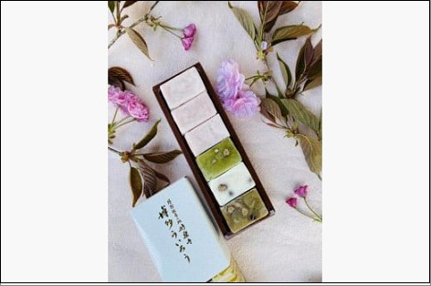 さくら入り 博多ういろう 詰め合わせ