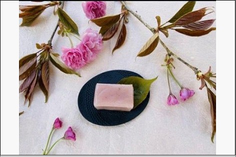 さくら入り 博多ういろう 詰め合わせ