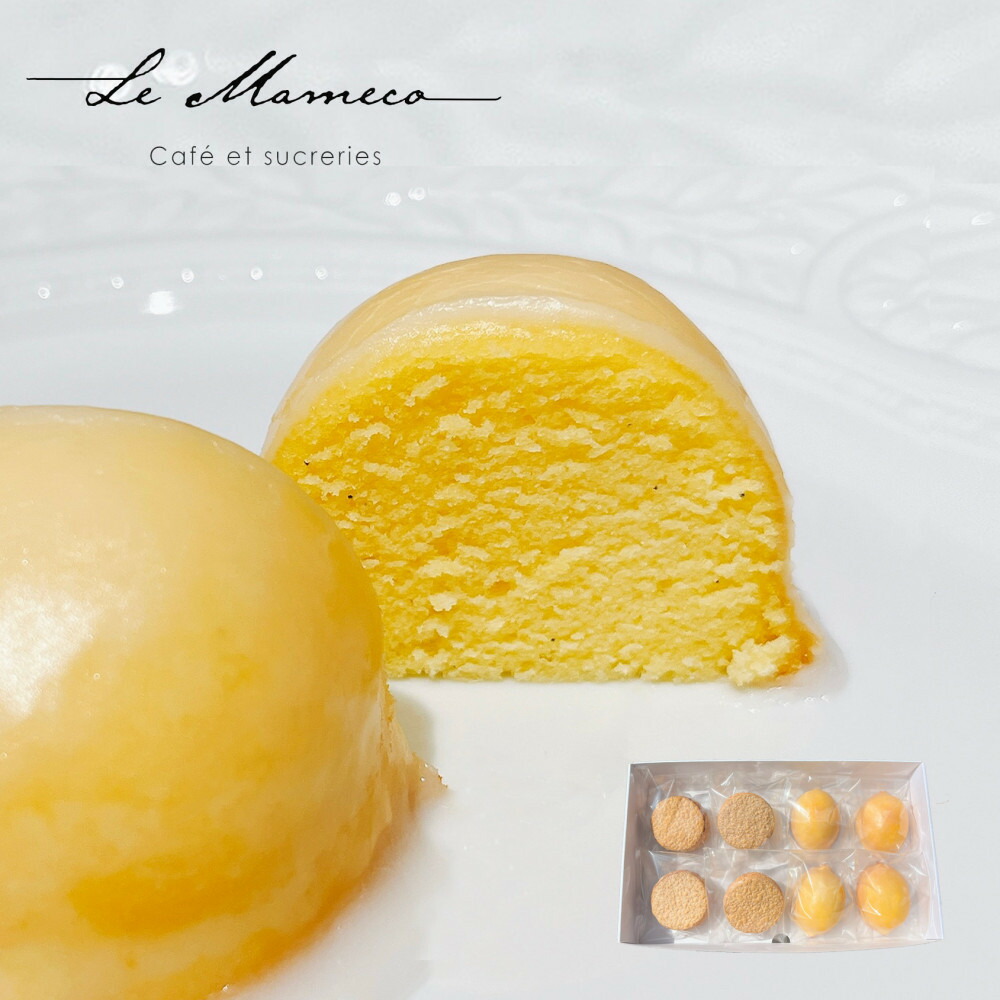 【福岡市】【ル・マメコ】レモンケーキ4個・ダックワーズ4個セレクションBOX