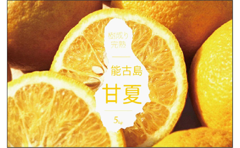 遖丞イ。逵 閭ス蜿、蟲カ逕」 逕伜、5kg | 繝輔Ν繝シ繝 譟第ゥ 縺九s縺阪▽ 縺ソ縺九s 繝溘き繝ウ 陷懈汨 縺ゅ∪縺ェ縺、 鬟溷刀 縺翫☆縺吶a 騾∵侭辟。譁