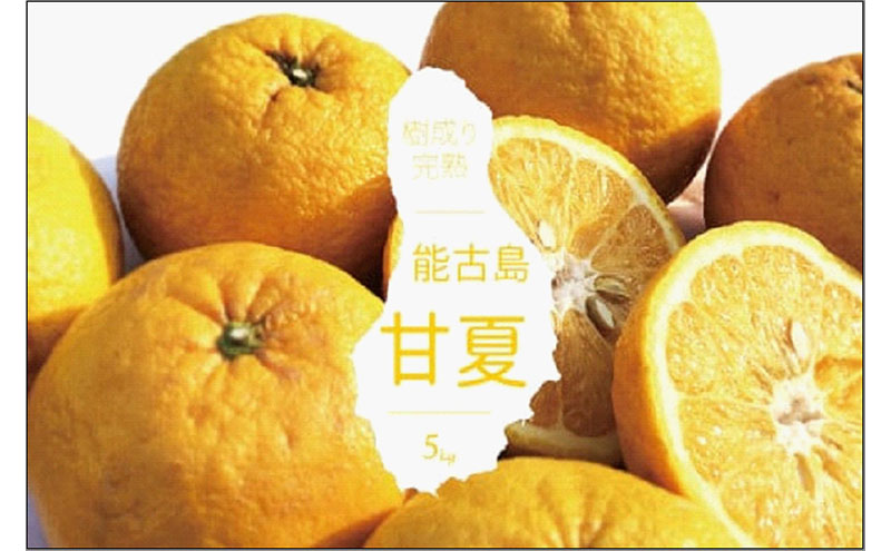 遖丞イ。逵 閭ス蜿、蟲カ逕」 逕伜、5kg | 繝輔Ν繝シ繝 譟第ゥ 縺九s縺阪▽ 縺ソ縺九s 繝溘き繝ウ 陷懈汨 縺ゅ∪縺ェ縺、 鬟溷刀 縺翫☆縺吶a 騾∵侭辟。譁