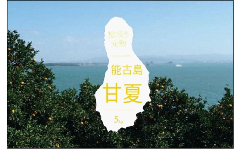 福岡県 能古島産 甘夏5kg | フルーツ 柑橘 かんきつ みかん ミカン 蜜柑 あまなつ 食品 おすすめ 送料無料