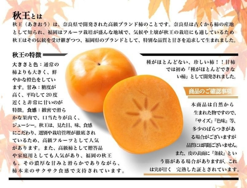 シ2026蟷エ逋コ騾∝繝サ蜈郁。御コ育エシ樒ァ狗視縲邏1.75kg(5ス6邇牙・)縲譟ソ