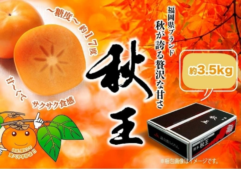 ＜2026年発送分・先行予約＞秋王　約3.5kg(11～14玉入)　柿 かき