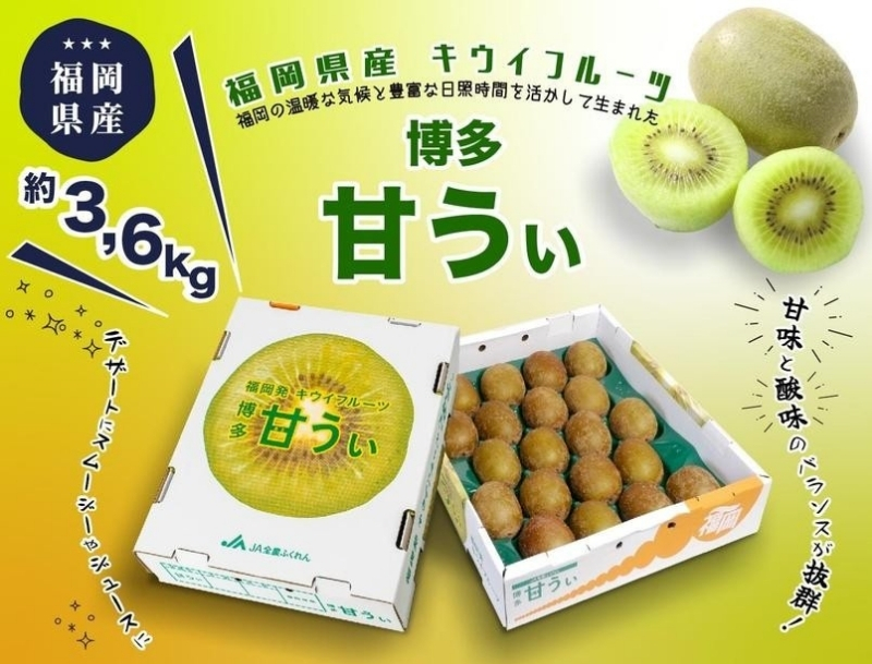 ＜2026年発送分・先行予約＞博多「甘うい」の贅沢果実　約3.6kg　キウイフルーツ キウイ