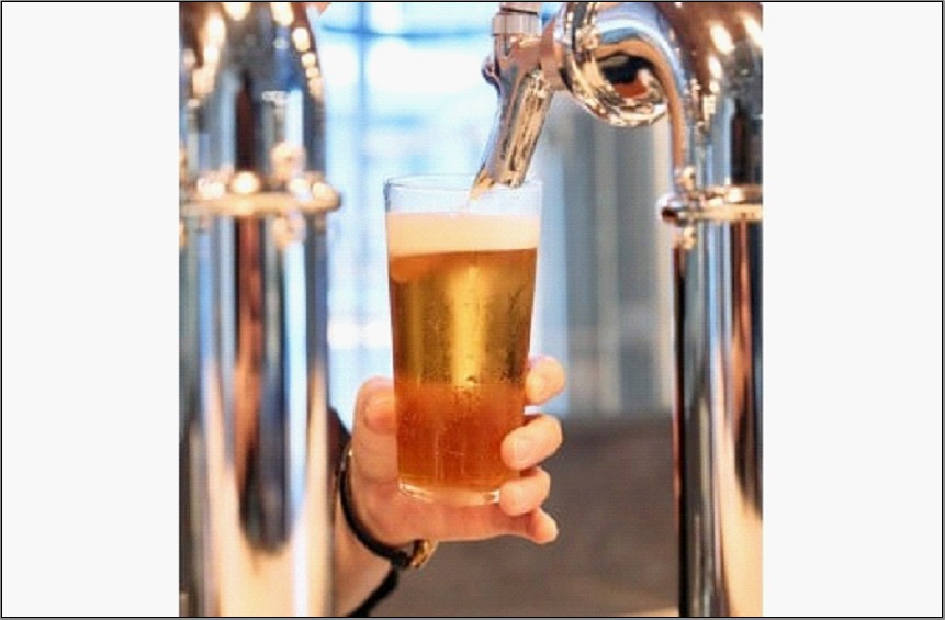 【ギフト箱】姪浜ブルワリー クラフトビール 330ml 5本セット 3種飲み比べ