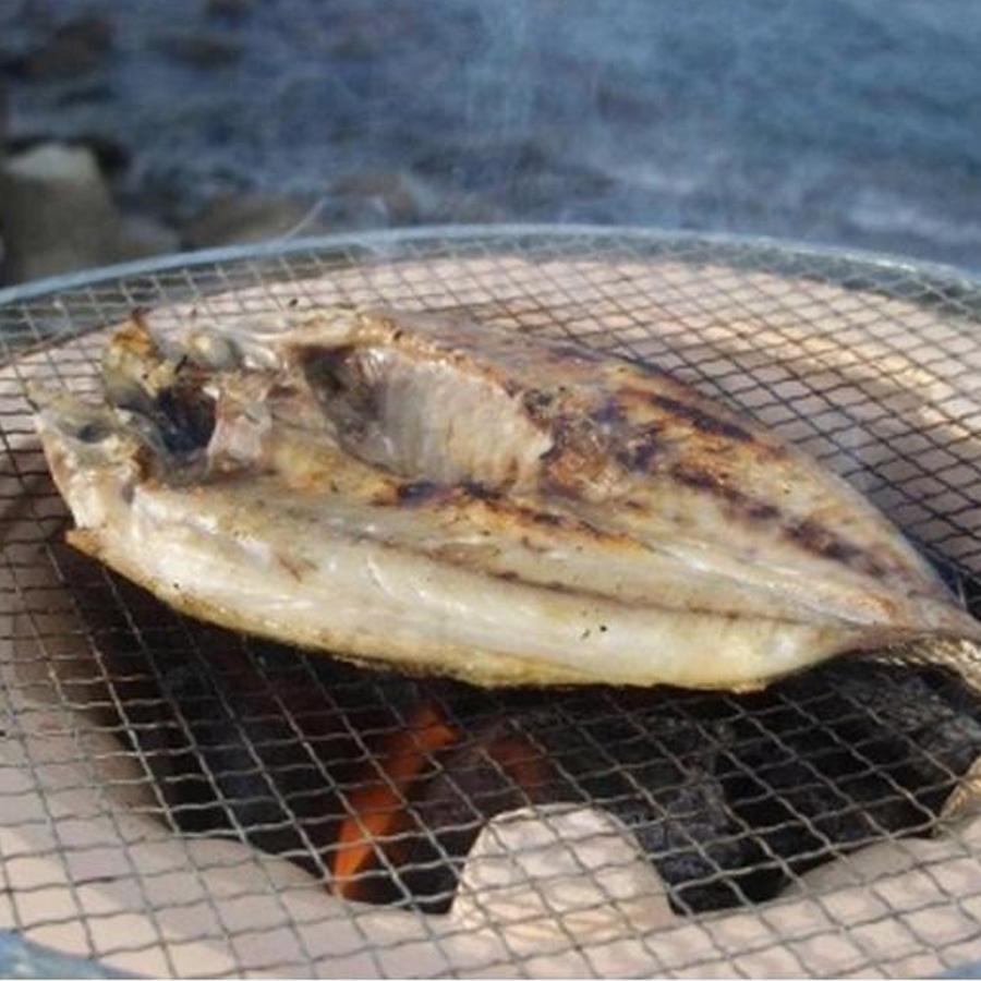 振り塩仕立て　真アジ開き10枚セット　★長浜市場で水揚げ★