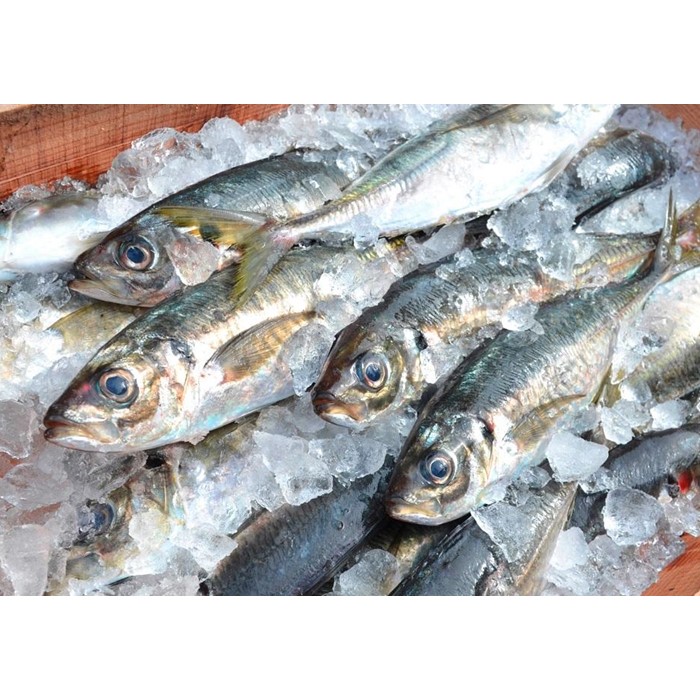 謖ッ繧雁。ゥ莉慕ォ九※縲逵溘い繧ク髢九″10譫壹そ繝繝医笘髟キ豬懷クょエ縺ァ豌エ謠壹£笘