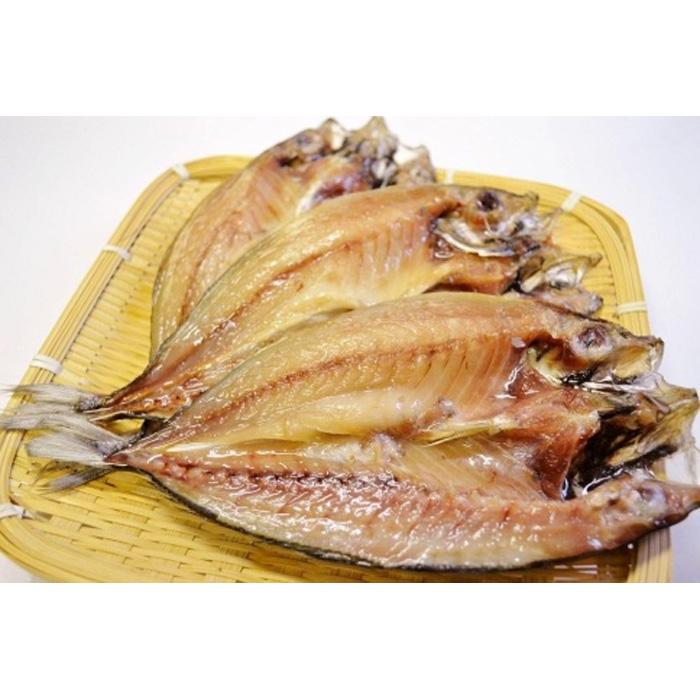 振り塩仕立て　真アジ開き10枚セット　★長浜市場で水揚げ★