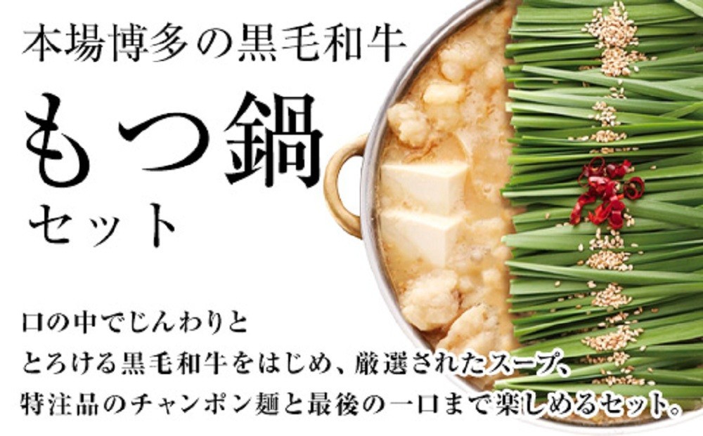 【計1.2キロ】国産黒毛和牛のもつ鍋 味噌味 6人前(3人前×2) もつ鍋一藤