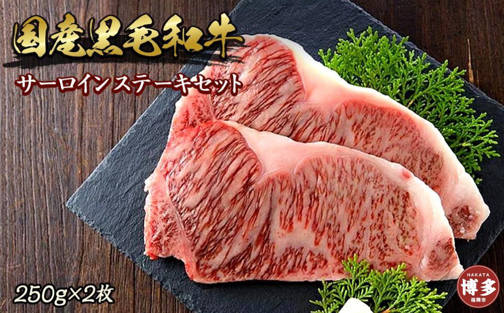 博多和牛サーロインステーキセット 500g（250g×2枚）