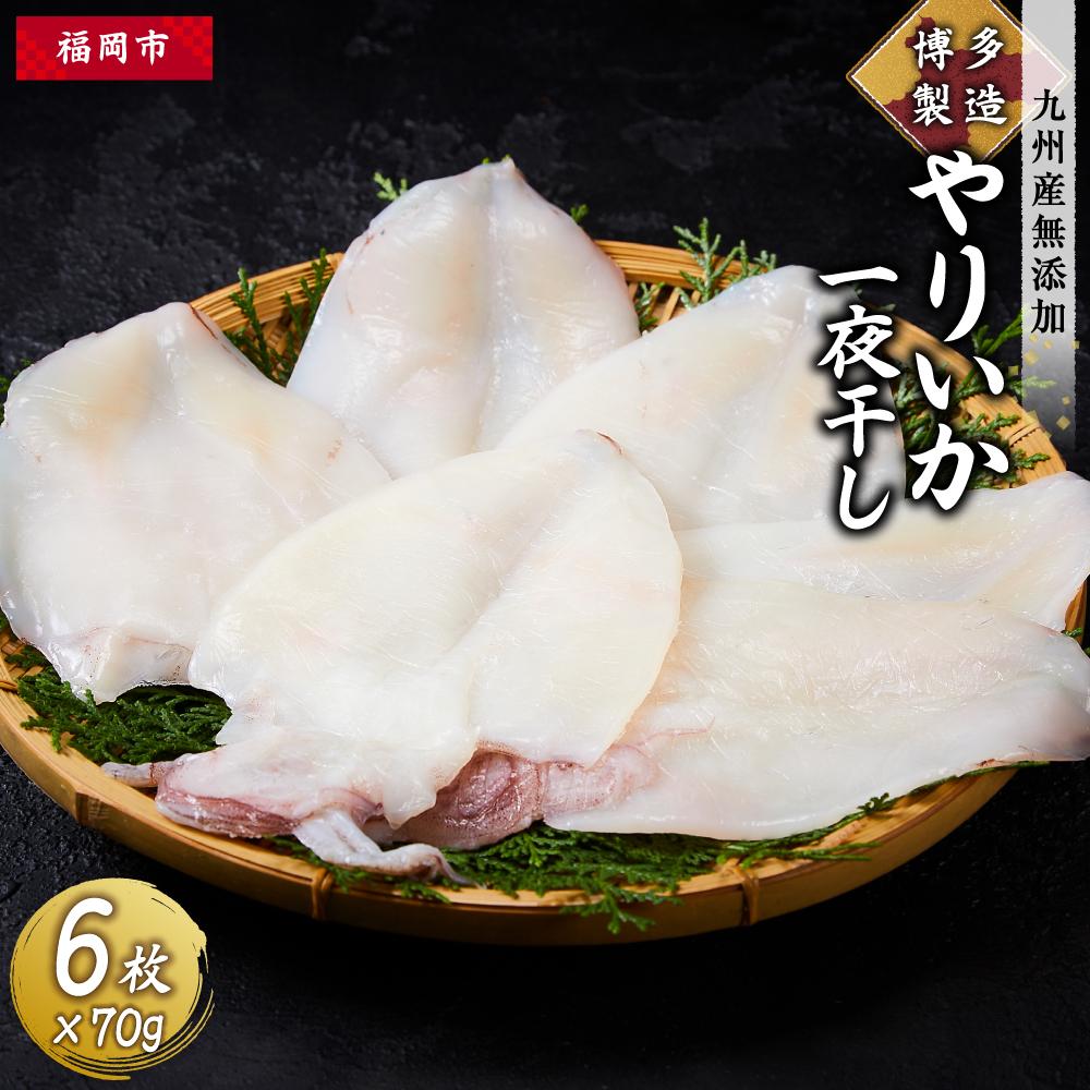 博多製造 九州産 やりいか 一夜干し