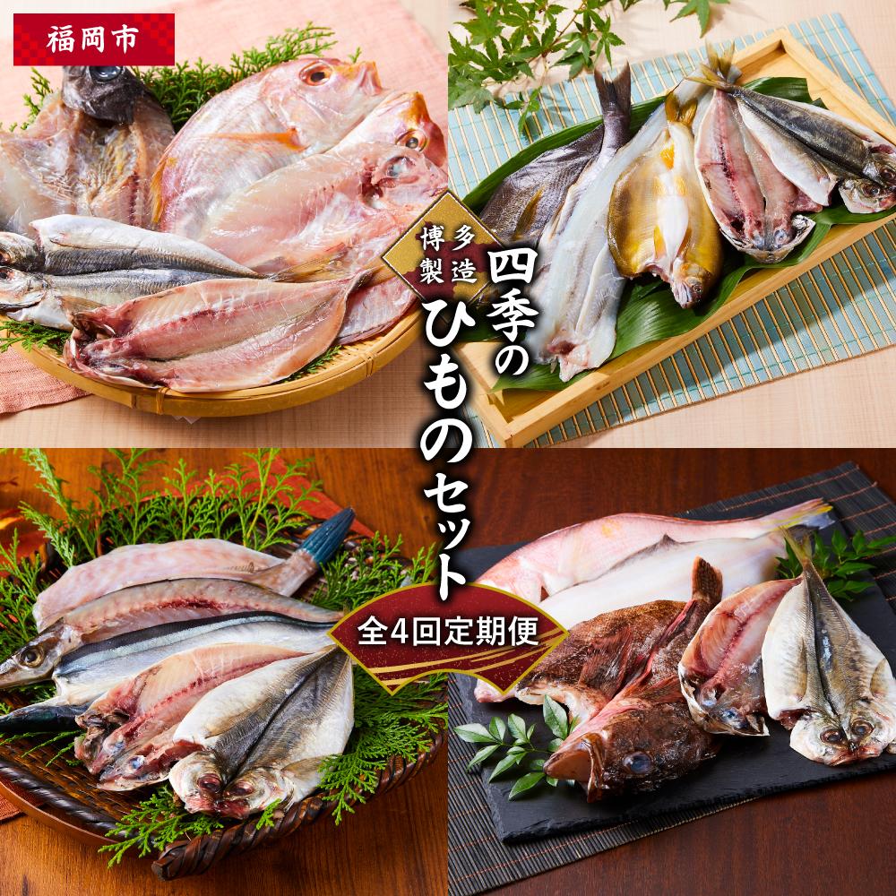 定期便 全4回 博多製造 四季のひものセット