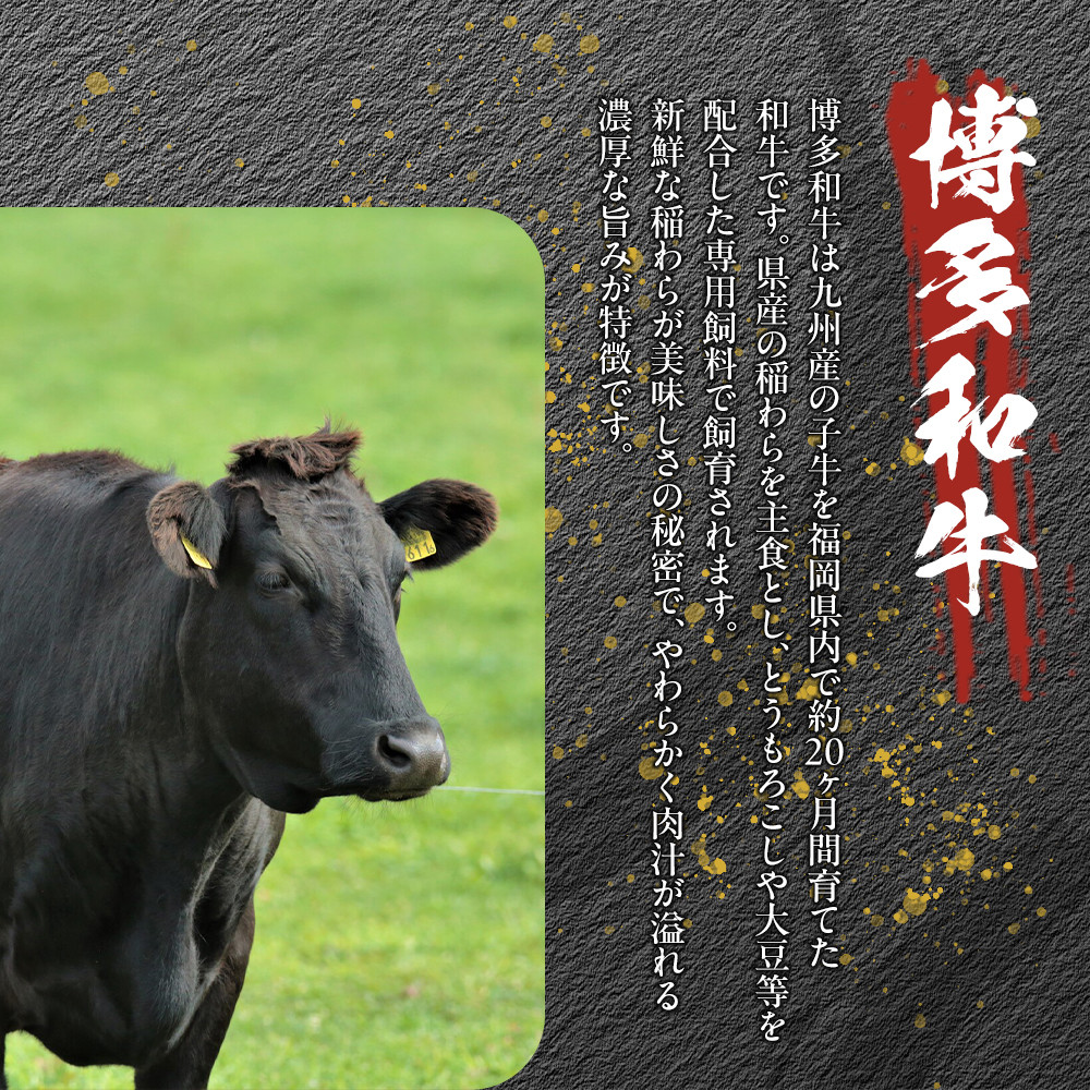 【訳あり】博多和牛 A4ランク以上 しゃぶしゃぶ すき焼き用セット 750g | ふるさと納税 肉 スライス 切り落とし 肩ロース 肩バラ モモ 肩 バラ ふるさと納税 牛肉 すき焼き すきやき しゃぶしゃぶ 鍋 人気 冷凍 福岡県 福岡市