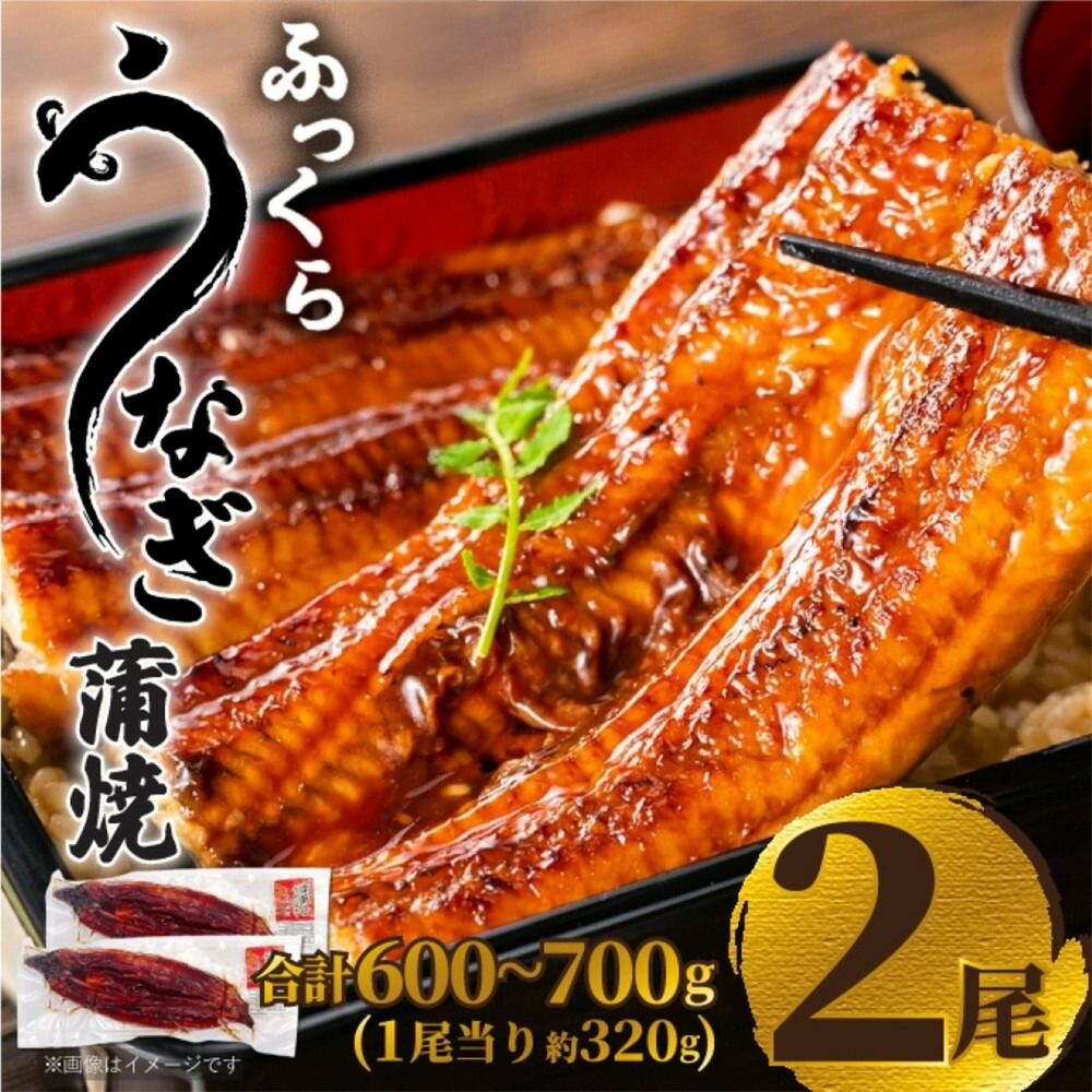 ふっくら大判うなぎ蒲焼 計約640g（約320g×2尾）